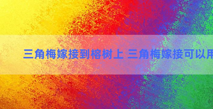 三角梅嫁接到榕树上 三角梅嫁接可以用电钻吗